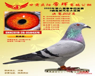 甘肃帝珲决赛203名