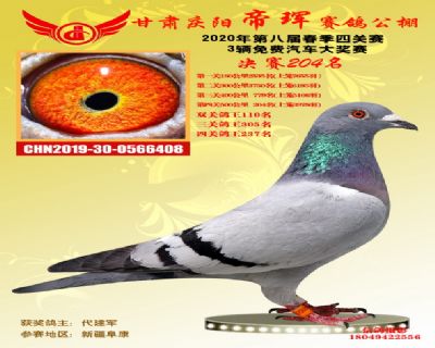 甘肃帝珲决赛204名