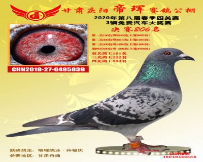 甘肃帝珲决赛206名