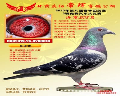 甘肃帝珲决赛208名