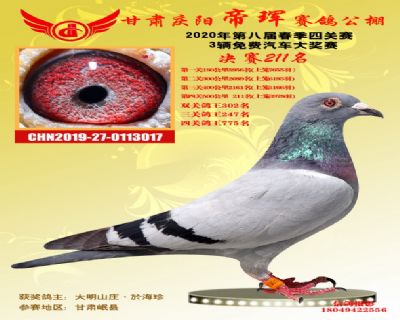 甘肃帝珲决赛211名