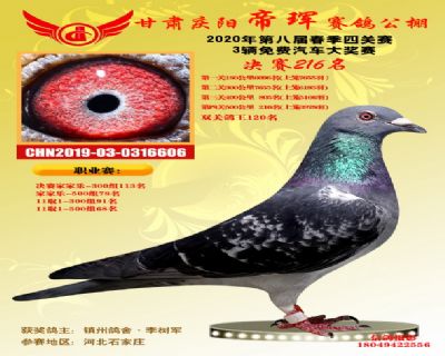 甘肃帝珲决赛216名