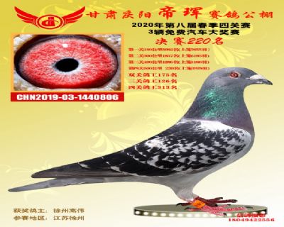甘肃帝珲决赛220名