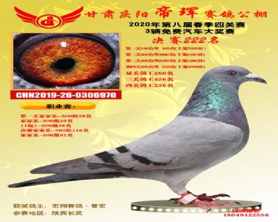 甘肃帝珲决赛222名