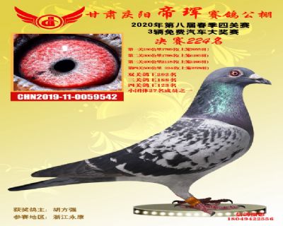 甘肃帝珲决赛224名