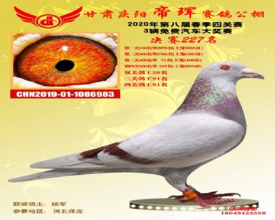 甘肃帝珲决赛227名