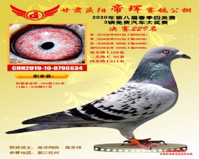甘肃帝珲决赛229名