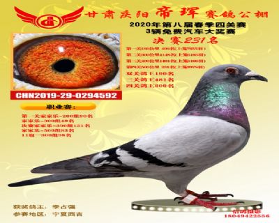 甘肃帝珲决赛231名