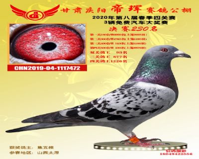 甘肃帝珲决赛230名