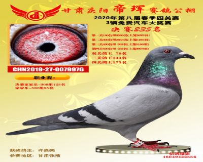 甘肃帝珲决赛235名