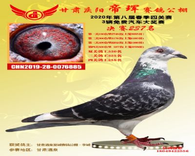 甘肃帝珲决赛237名