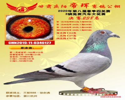甘肃帝珲决赛238名