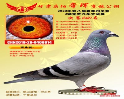 甘肃帝珲决赛240名