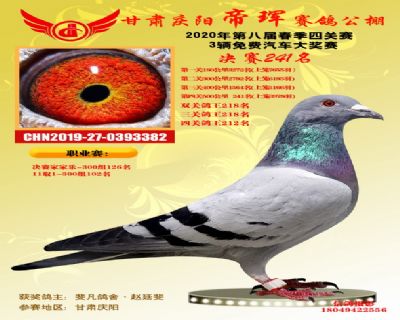 甘肃帝珲决赛241名