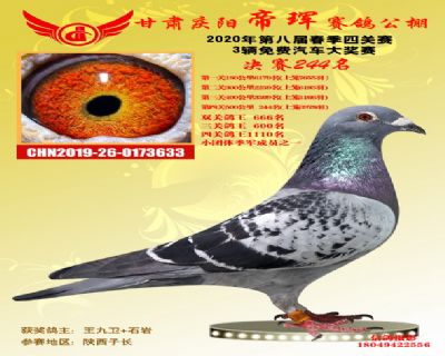 甘肃帝珲决赛244名