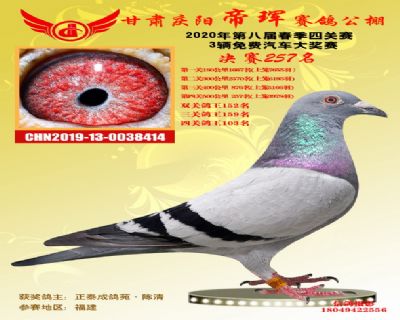 甘肃帝珲决赛257名