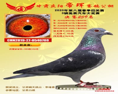 甘肃帝珲决赛259名