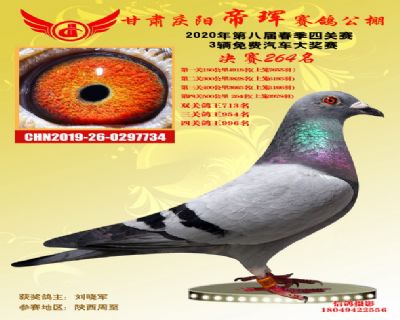 甘肃帝珲决赛264名