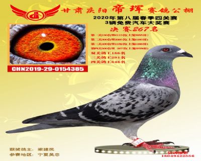 甘肃帝珲决赛267名