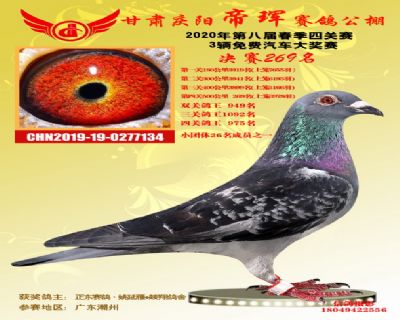 甘肃帝珲决赛269名