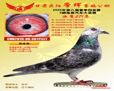 甘肃帝珲决赛271名
