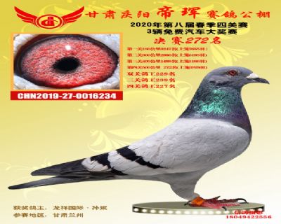 甘肃帝珲决赛272名