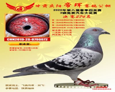 甘肃帝珲决赛274名