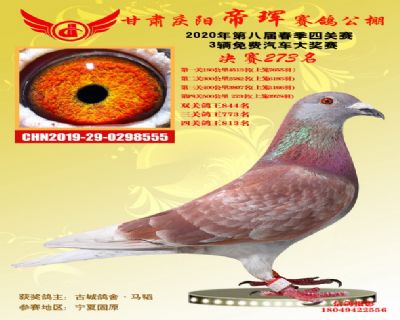 甘肃帝珲决赛273名
