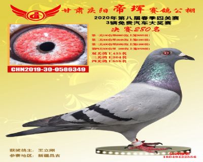 甘肃帝珲决赛280名