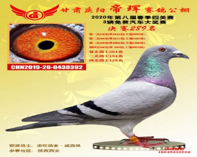 甘肃帝珲决赛289名