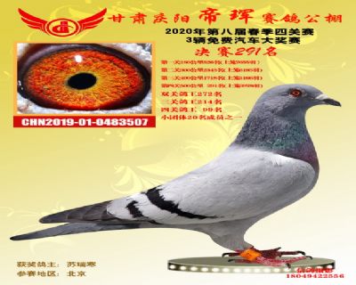 甘肃帝珲决赛291名