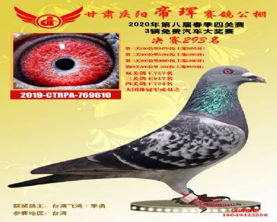 甘肃帝珲决赛293名