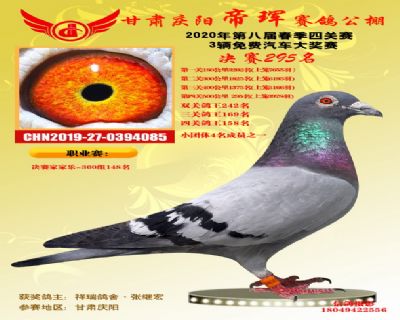 甘肃帝珲决赛295名