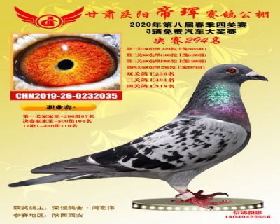 甘肃帝珲决赛294名