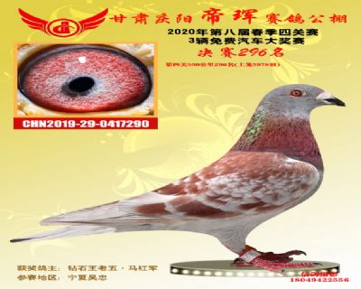 甘肃帝珲决赛296名