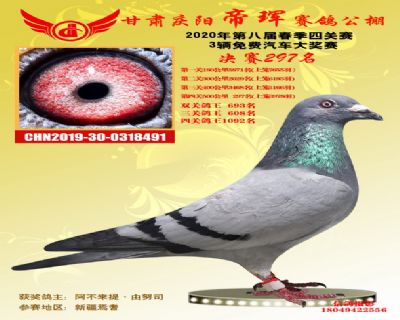 甘肃帝珲决赛297名