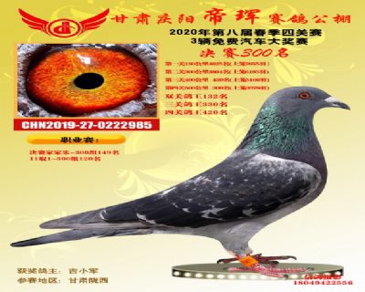 甘肃帝珲决赛300名