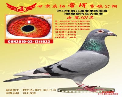 甘肅帝琿決賽101名