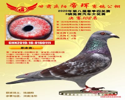 甘肅帝琿四關鴿王4名