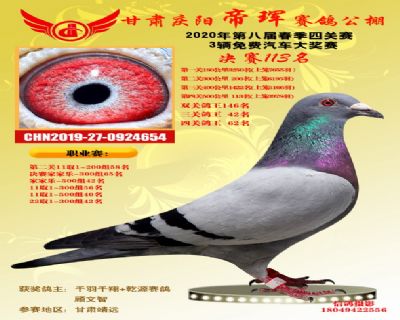 甘肅帝琿決賽113名