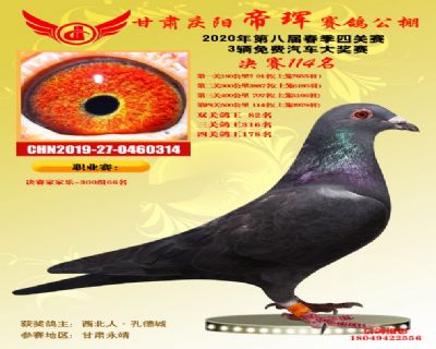 甘肅帝琿決賽114名