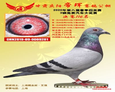 甘肅帝琿決賽116名