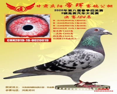 甘肅帝琿決賽124名