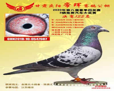 甘肅帝琿決賽133名