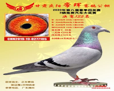 甘肅帝琿決賽135名