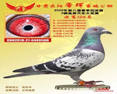 甘肅帝琿決賽136名