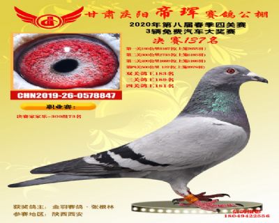 甘肅帝琿決賽137名
