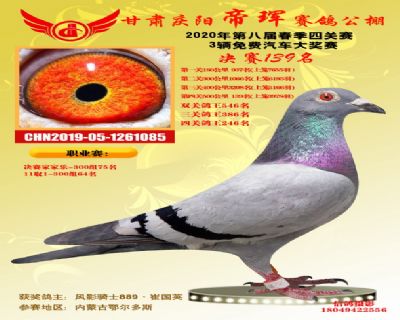 甘肅帝琿決賽139名