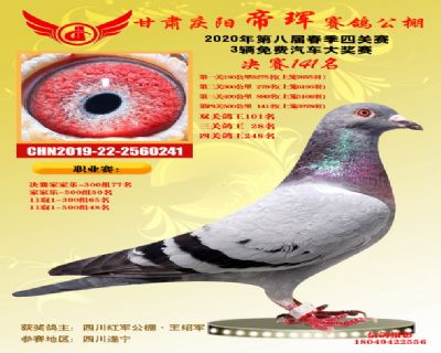 甘肅帝琿決賽141名