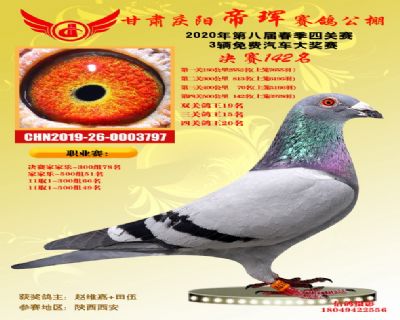 甘肅帝琿決賽142名